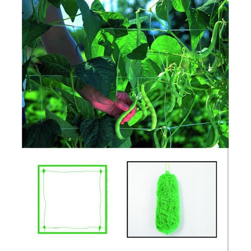 RETE PLASTICA P/RAMPICANTI ROTOLO 10 M H. 200 CM