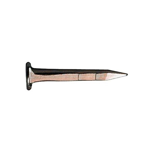 SEMENZE ACCIAIO 2 LEONI TP GAMBO QUADRO  1 KG      16 MM