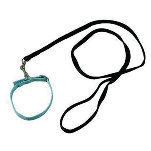 GUINZAGLI P/CANI NYLON BLINKY C/CAPPIO 1,5 CM/SEZ     150 CM