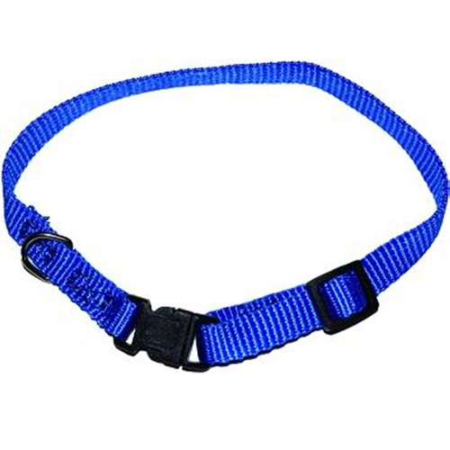 COLLARI P/CANI BLINKY POLIESTERE BIG   30-44 CM